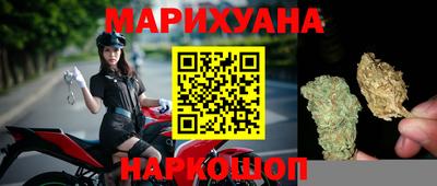 сатива Малоярославец